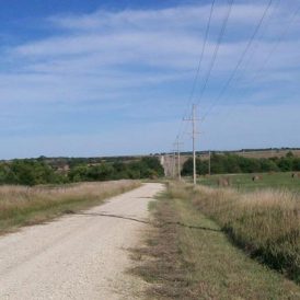 Sounds of the Country Image